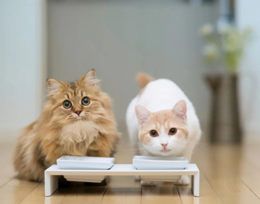 1652066400381192.jpg 1.jpg