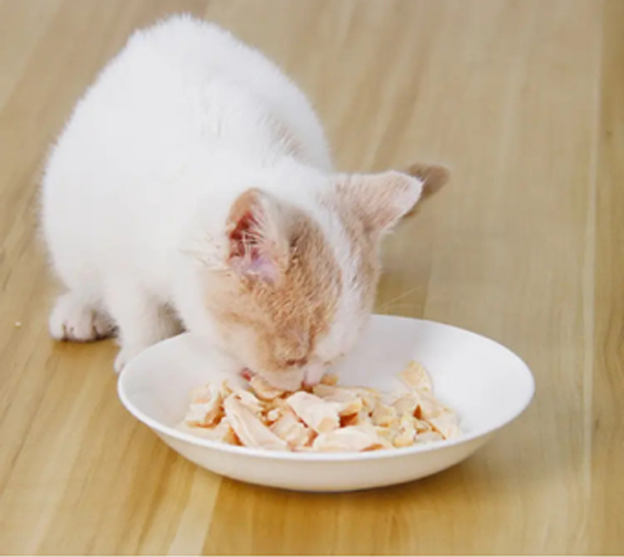 1652066528111107.jpg 2.jpg