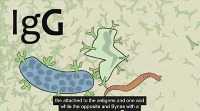 1652076047821369.jpg 7.jpg