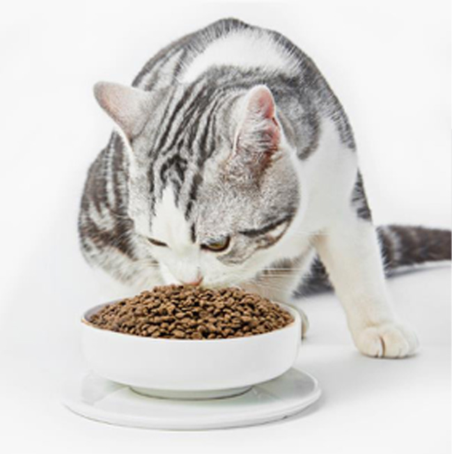 1652080329627624.jpg 14.jpg